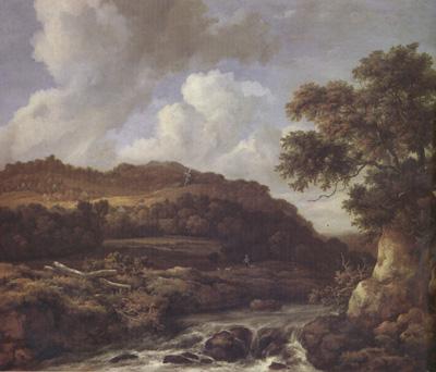 Jacob van Ruisdael A Mountainous Wooded Landscape with a Torrent (nn03) Sweden oil painting art